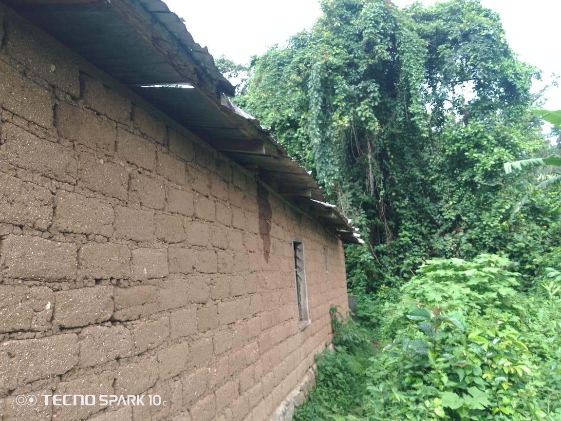 Mud-brick school wall with deteriorating roof