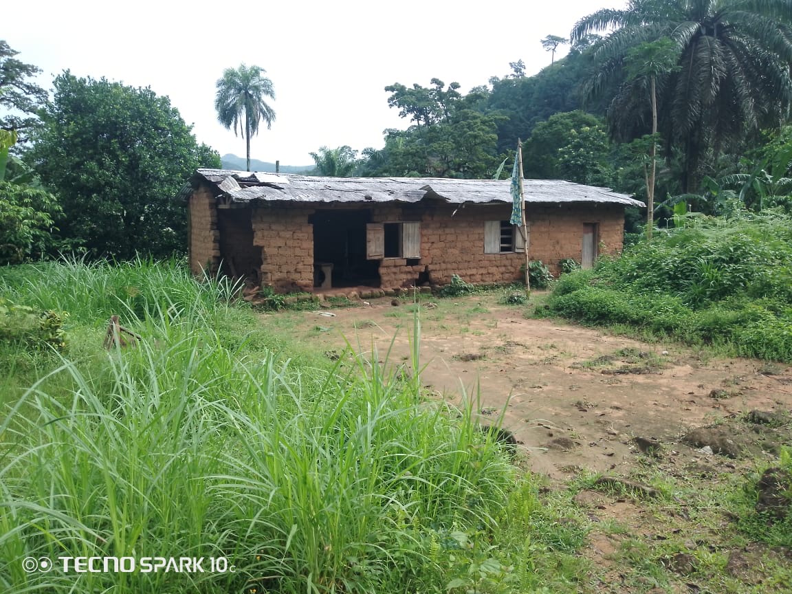 Wider view of a current school building in Balu
